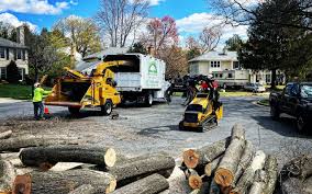 Best Tree and Shrub Care  in Purvis, MS